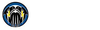 CMS Logo